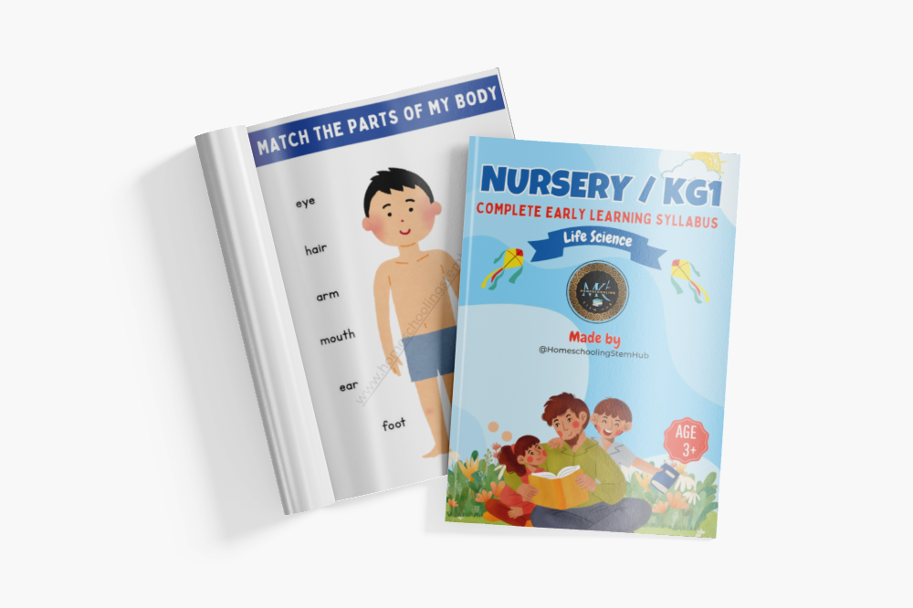 Magazines Mockup, Top View (27)