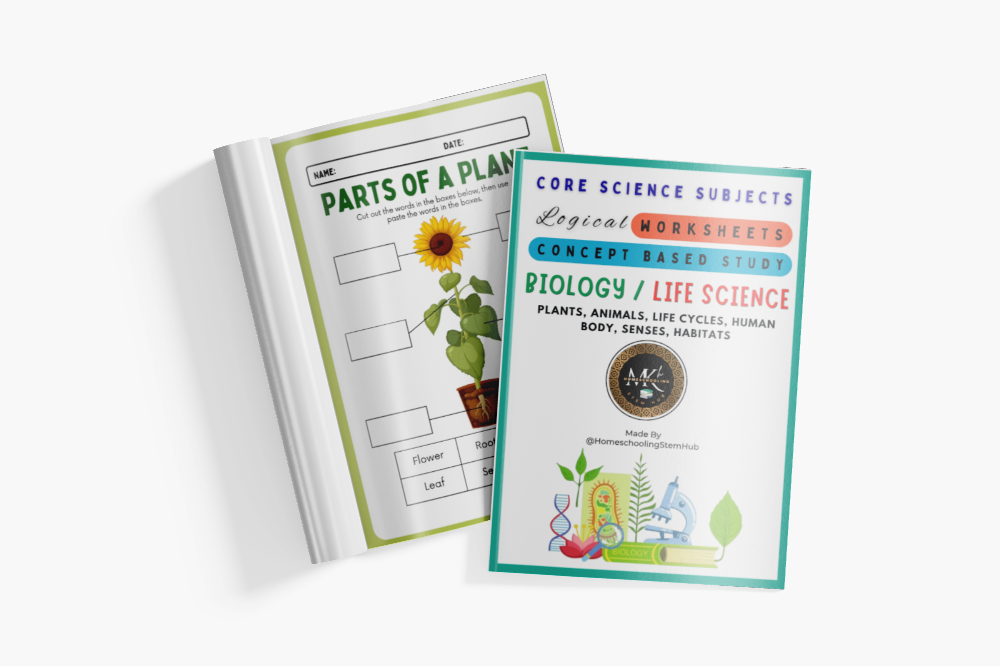 Magazines Mockup, Top View (12)