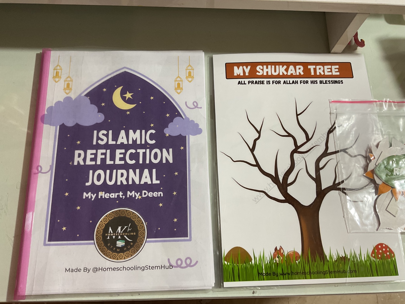 WhatsApp Image 2025-09-26 at 2.12.07 PM