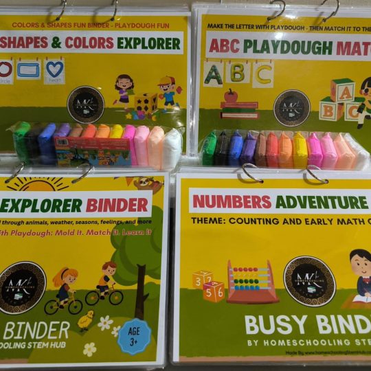 Pack of 4 Busy Binders