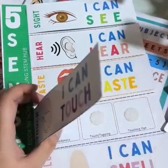 Five Senses Flip book